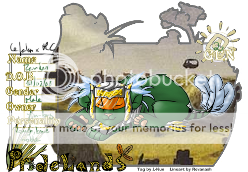 User Image